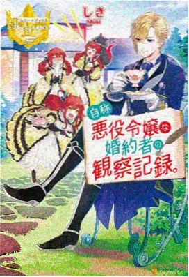 两年半视频官网连载动漫星屑少年封面